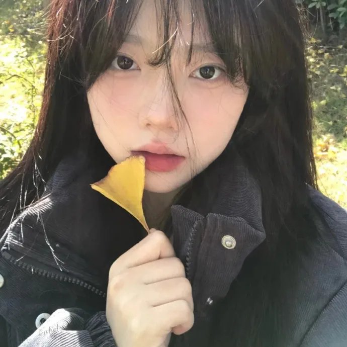 天蛾人的预言