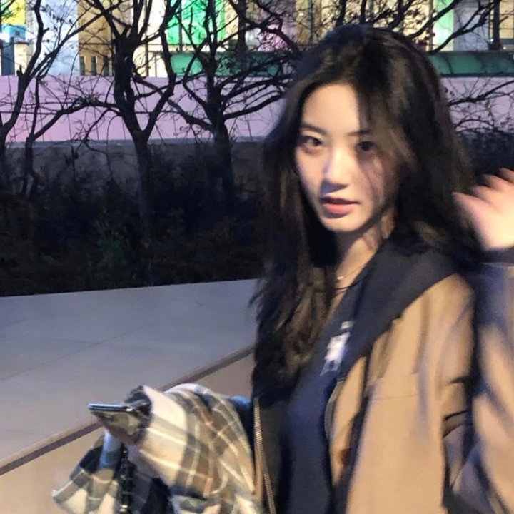 司藤