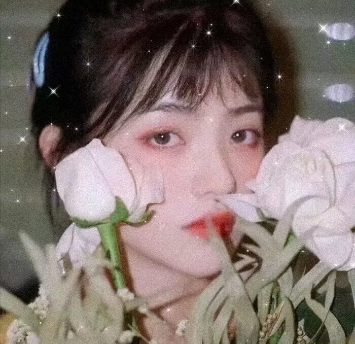 母女菀